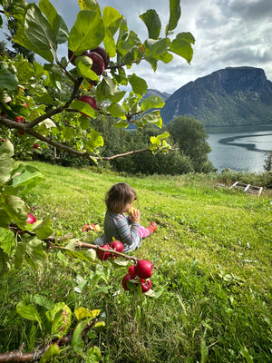 Emelie Forsberg: Gartenfreuden und Zucchini-Kekse!