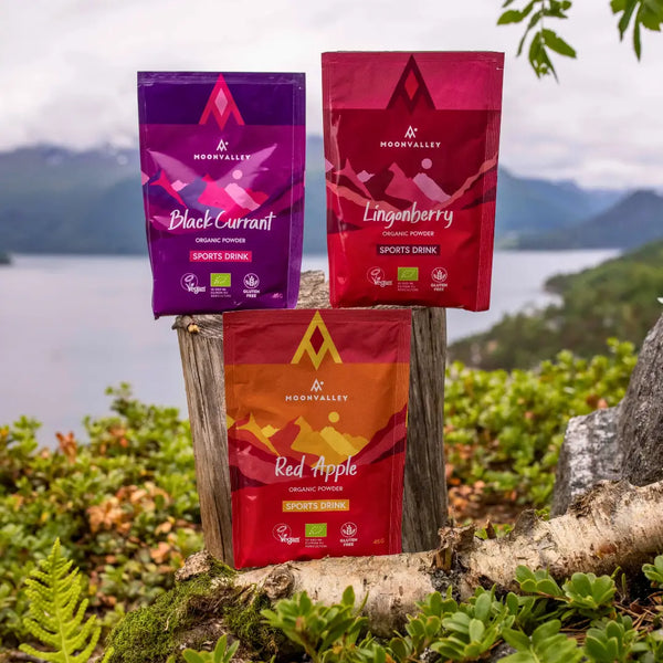 Vegan Sports Drink Mixed 12-pack