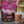Vegan Post-Workout Mix Chocolate